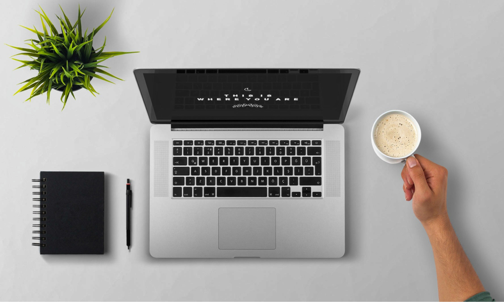 contabilidade online